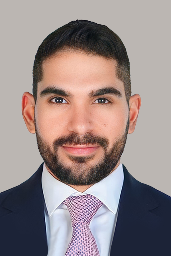 السيد أحمد كامل أحمد آل شرف